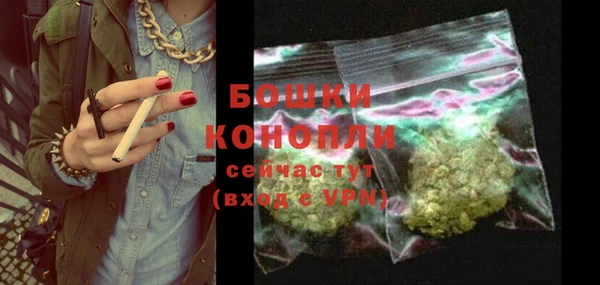 гидра Белокуриха